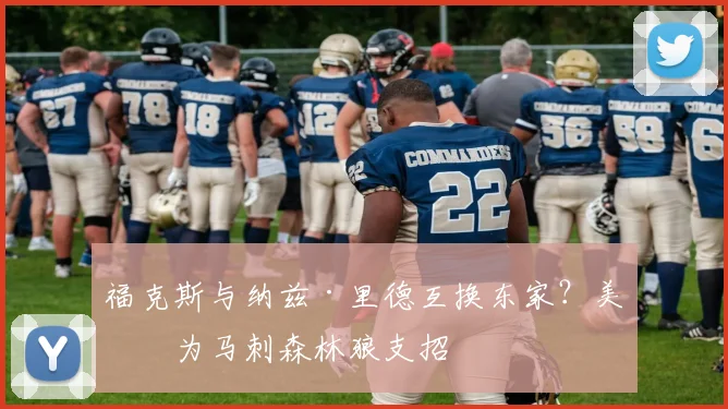 福克斯与纳兹·里德互换东家？美媒为马刺森林狼支招