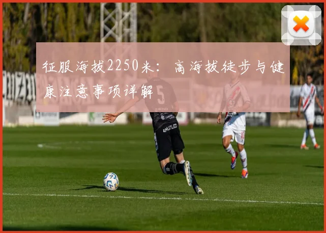 征服海拔2250米：高海拔徒步与健康注意事项详解
